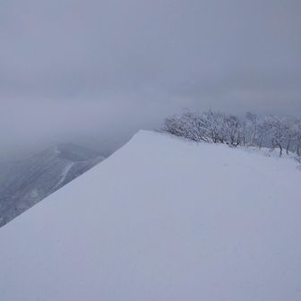 今日も強風だったけれど、無事辿り着けました。