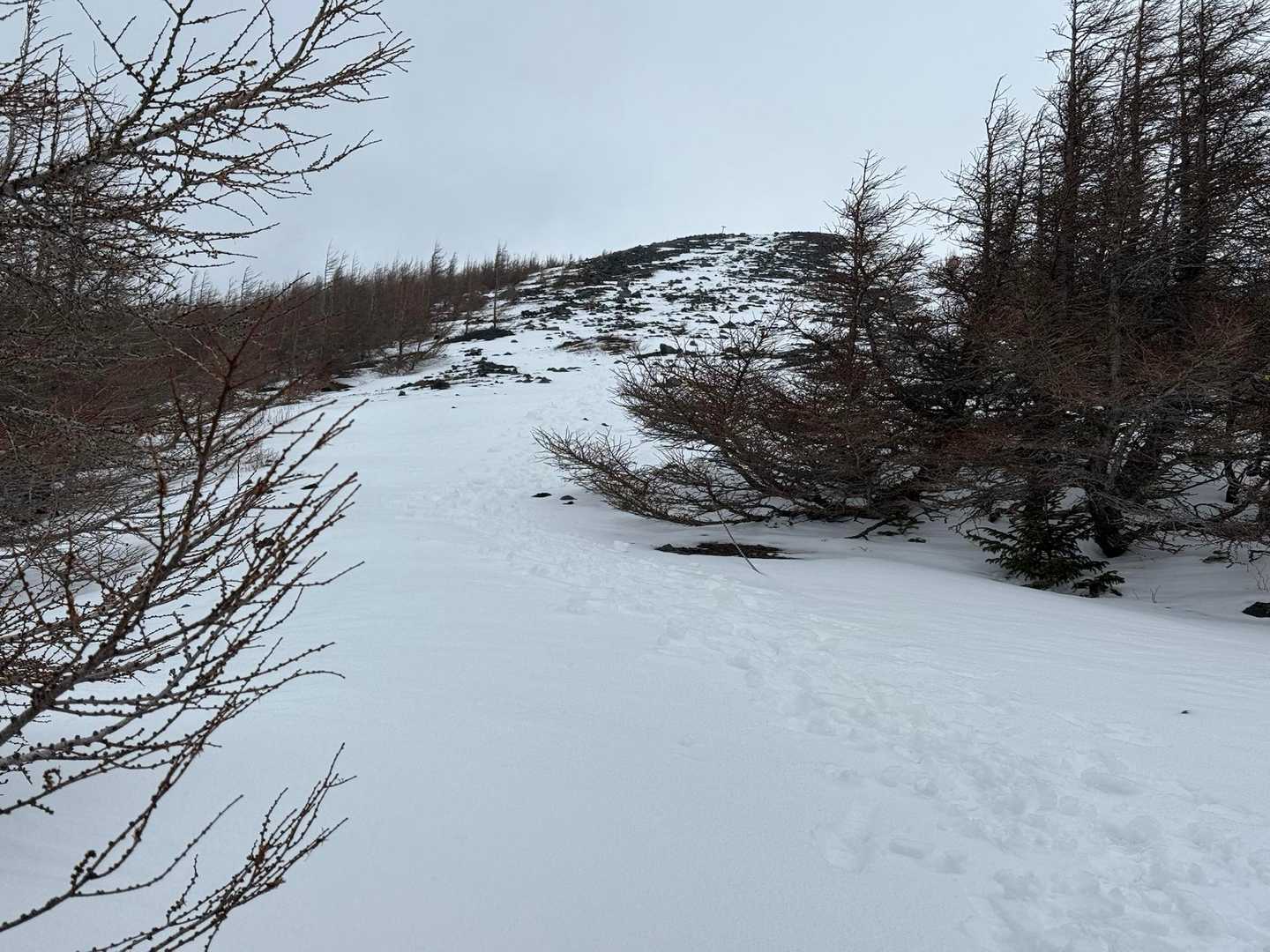 あまり雪は積もってない、ここで一応アイゼン装着