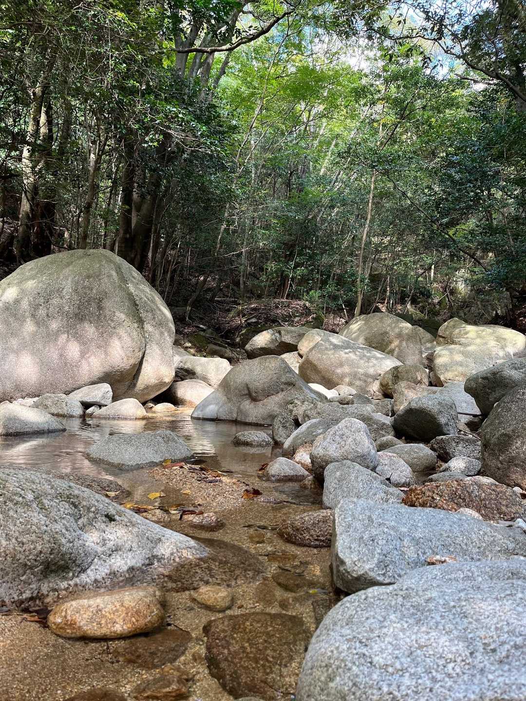 降りてきて、石水渓の河原に寄り道。水が冷たい💦