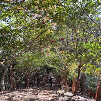 トンネル…また来たいな