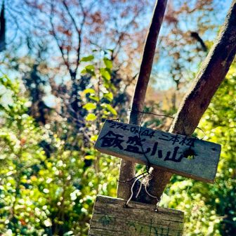 16.飯盛小山
ここ、平坦なピークで、通り過ぎてました😅