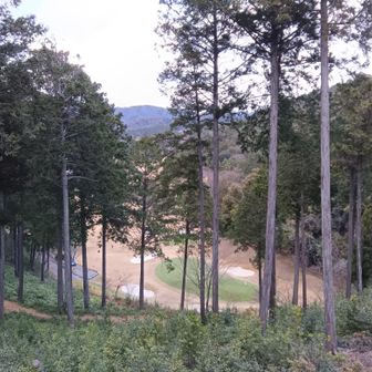 京都ゴルフ倶楽部　上賀茂コース🚩パー69でビジター土日は24000円ですって(*_*)
バブルの頃をもはや抜いたのかな💰️🫢
色々🍛🍻☕と入れたら30000円だよなぁ〜😅
永らくゴルフ🚩して無いけど。。。
山登りの方が楽しいな😆