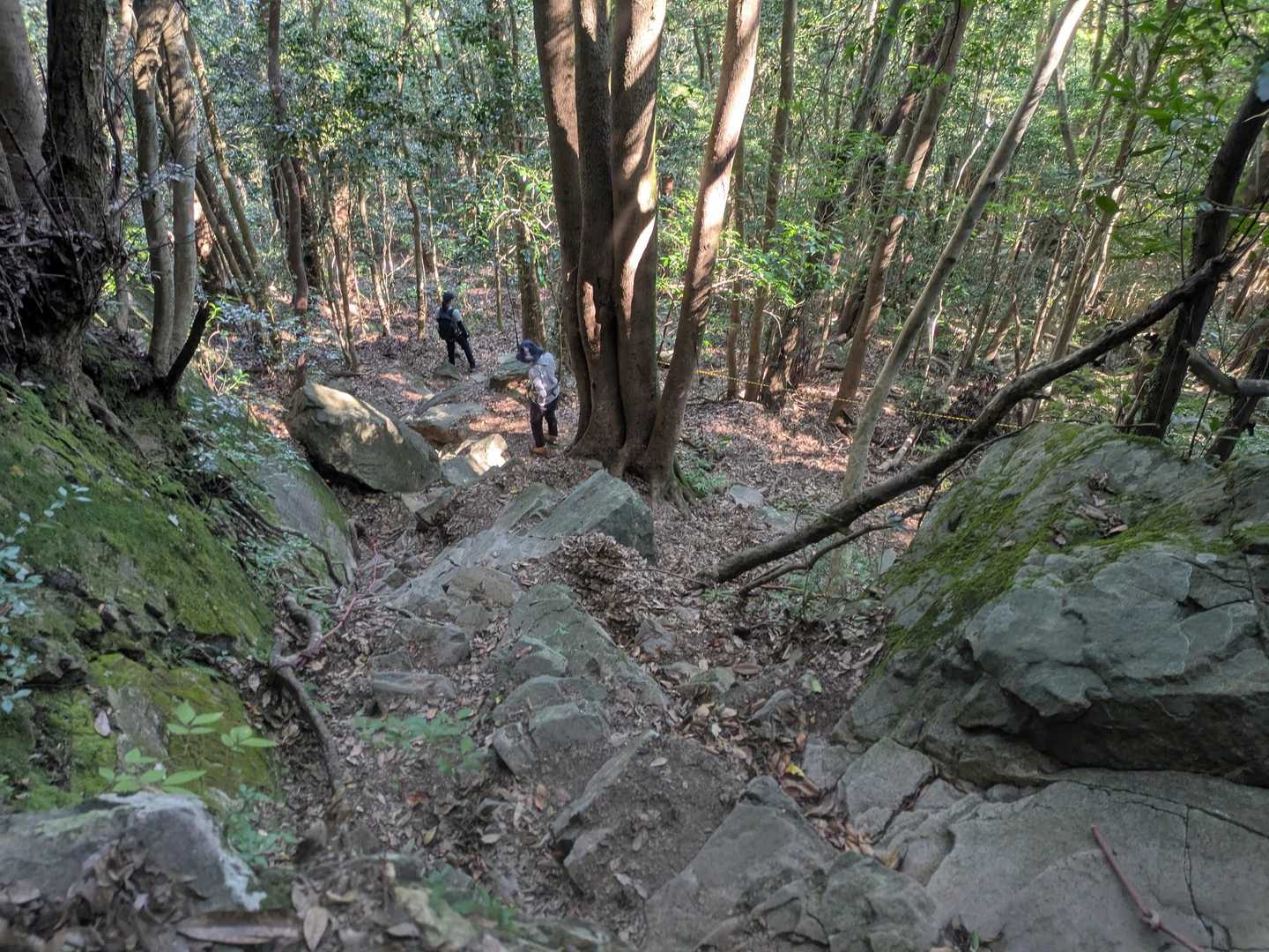 木場登山口-虚空蔵山 往復コースの写真