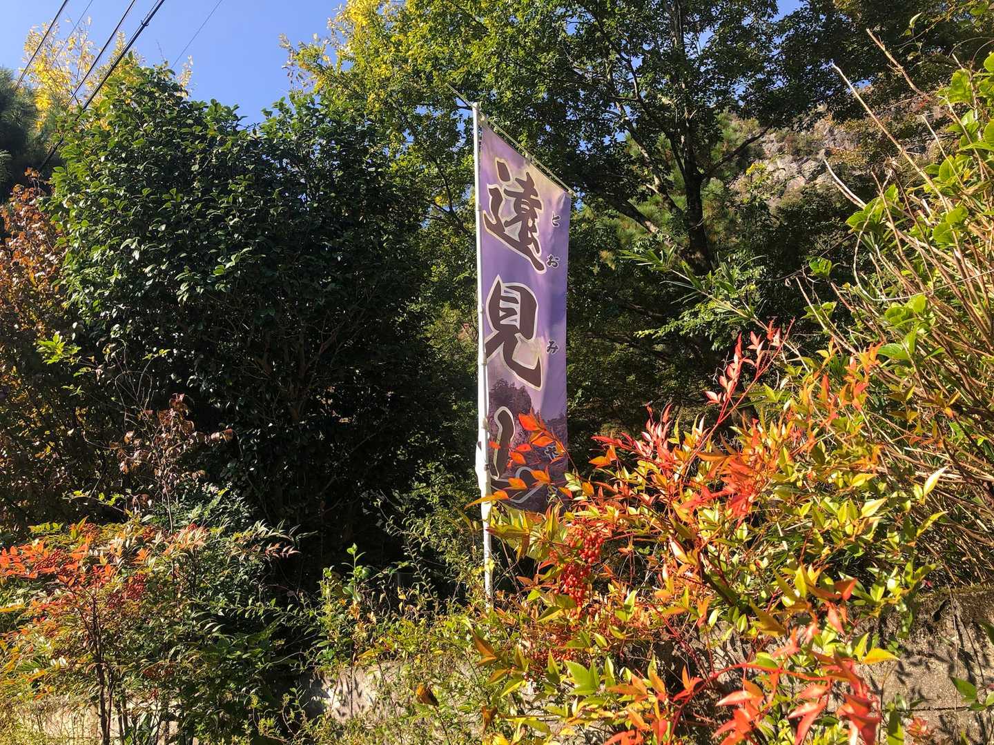 遠見山から次の山へ向かいます⛰️