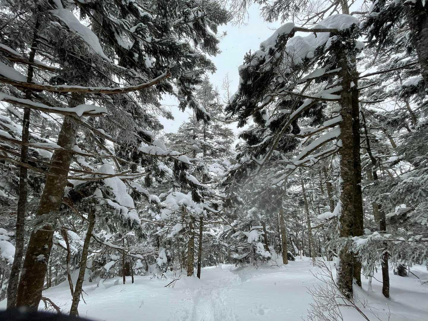 日本画 恵那山 冬 日本画 恵那山 冬 backend=imagemagick;version=1;