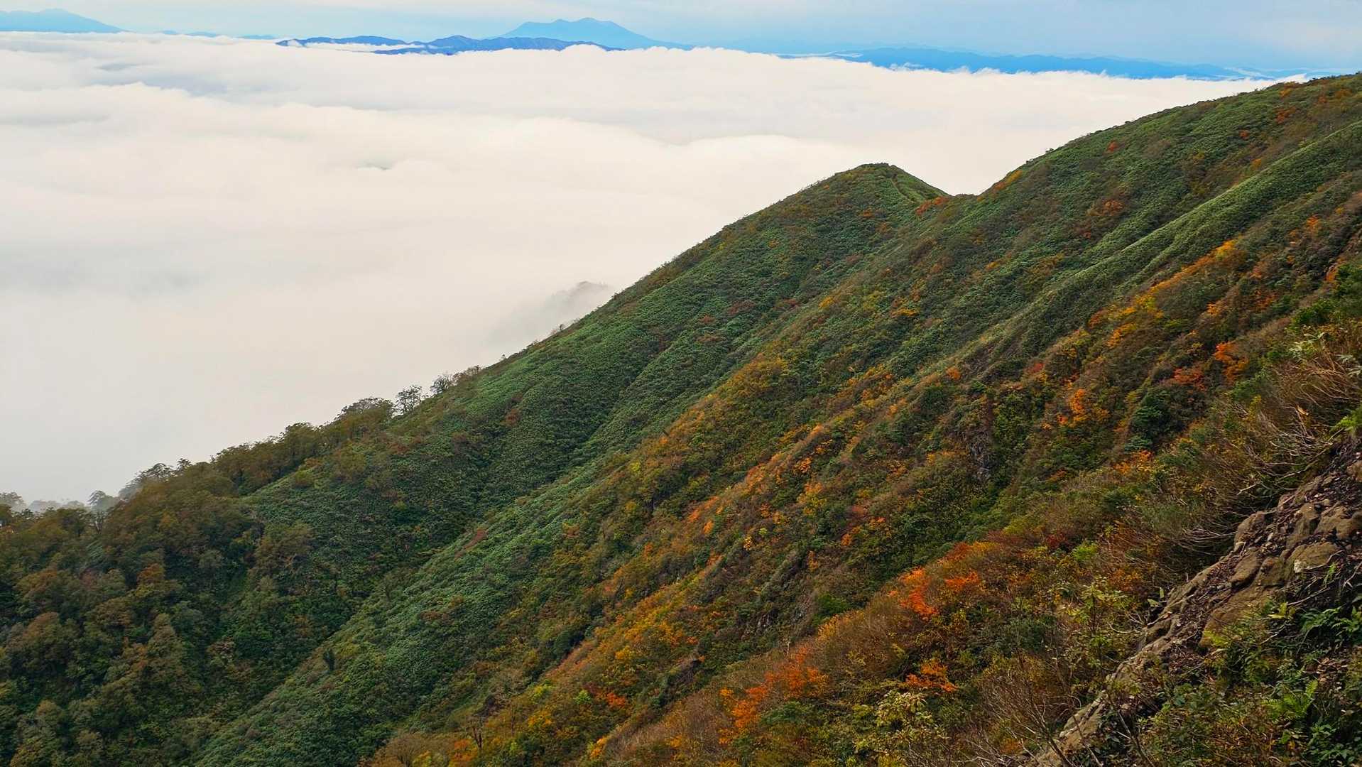 紅葉🍁もしてて、秋ですね😊美しい