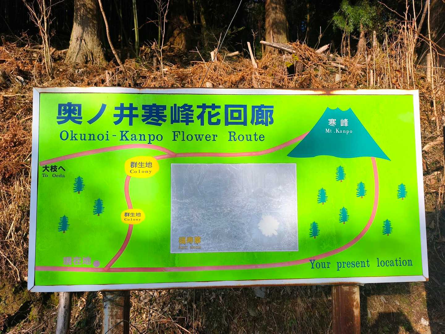 こちらからスタートしましたが、もっと上に広い駐車場と登山口ありました🤣