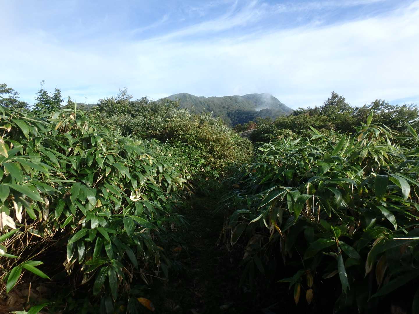 禿岳と登山道