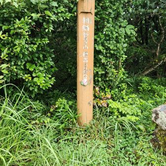 最初の朝鍋鷲ヶ山頂上到着🗻
去年来たばかり😅
