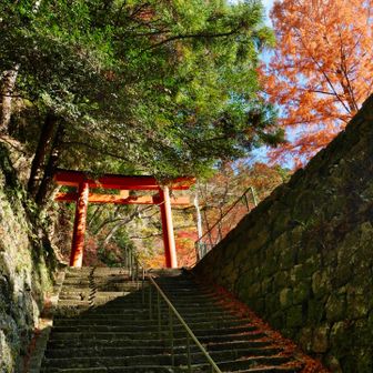 いい雰囲気です。