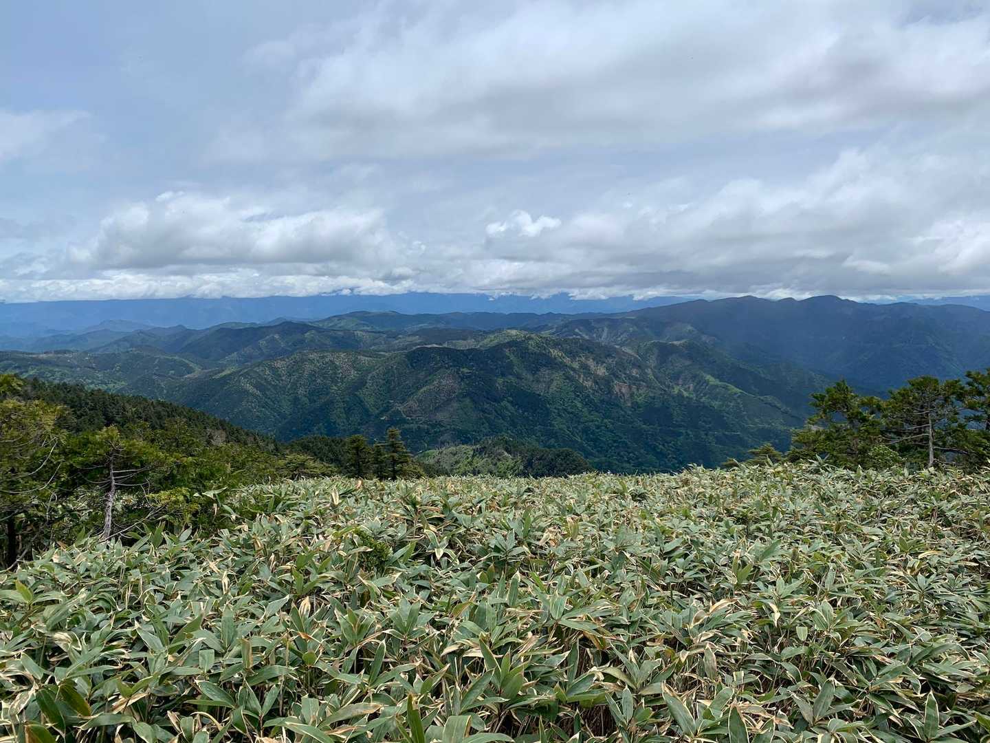 笹原