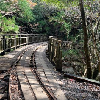 ここから荒川登山口まで延々とトロッコ道を歩くことになる