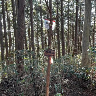 回り道してピークゲット👍今日はたくさん増えるな😚