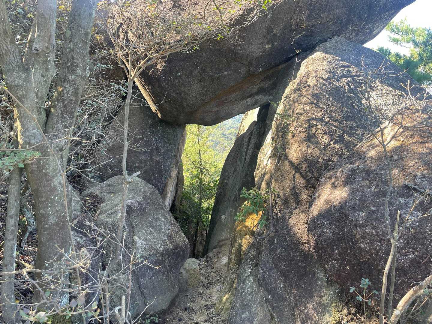 上桐生登山口-天狗岩 周回コースの写真