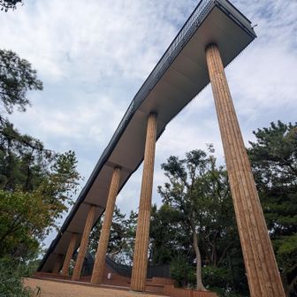 😵‍💫先端まで登れる💦