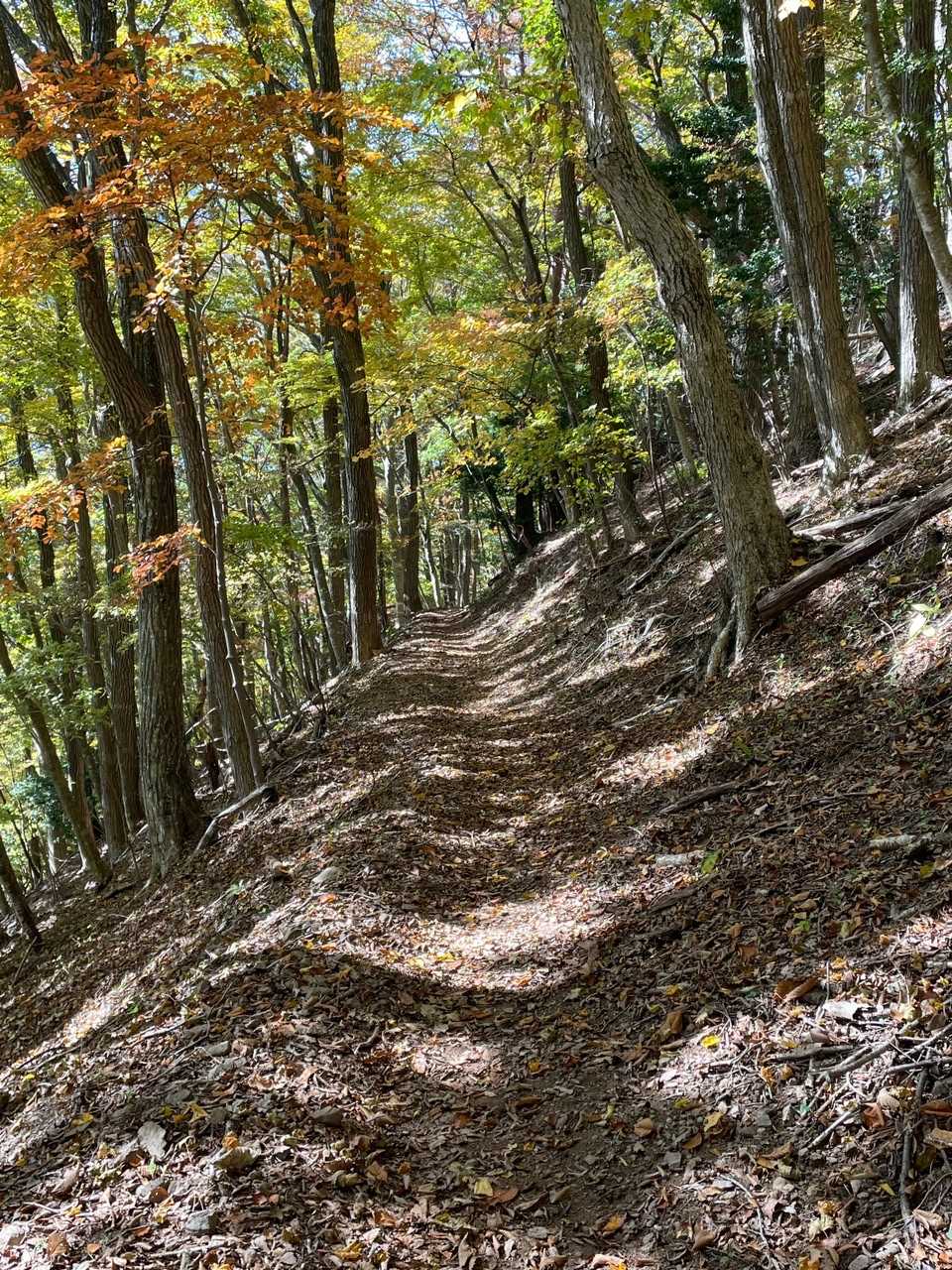 寂しいけど下山しました。