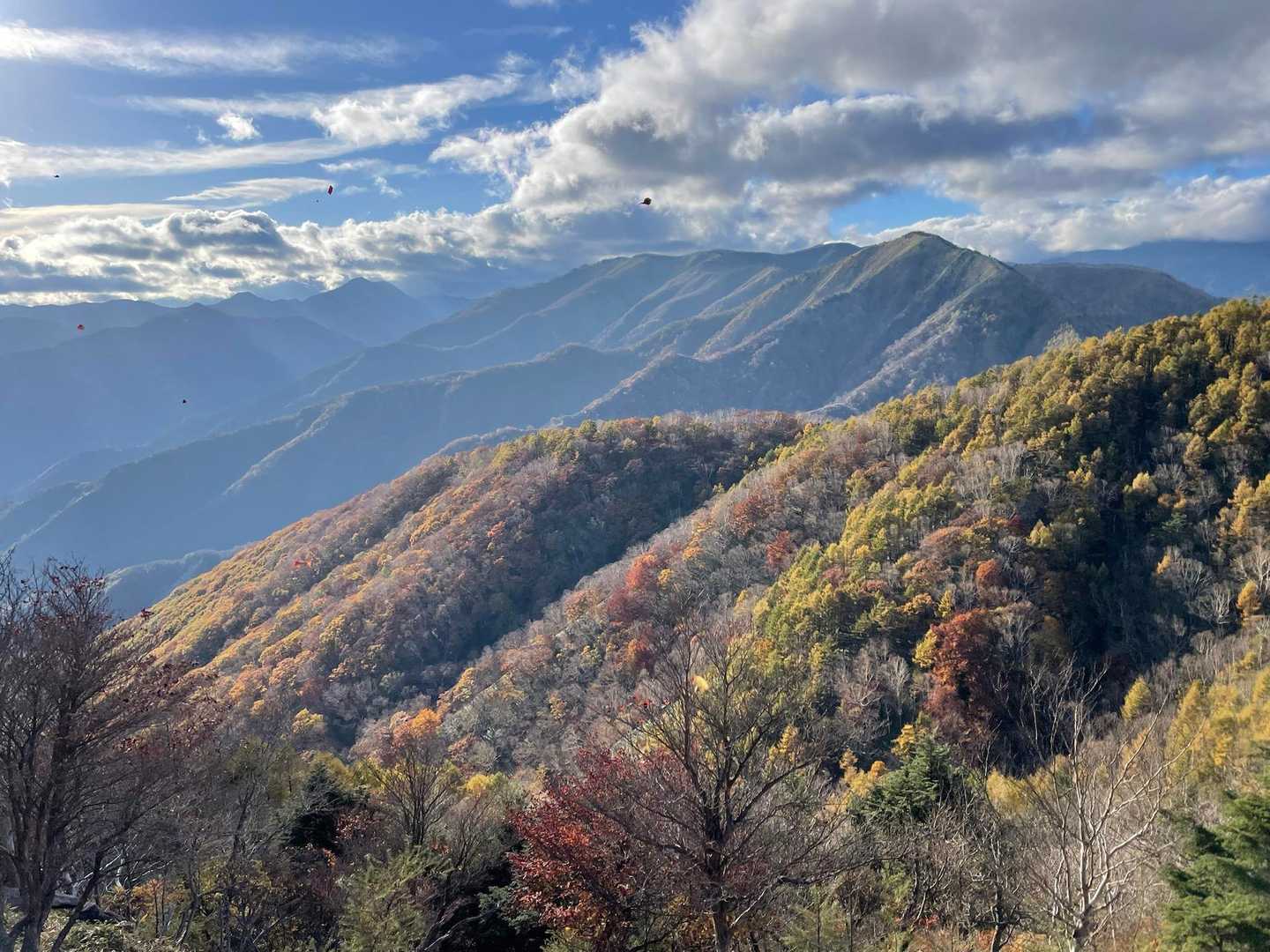 半月峠-半月山 往復コースの写真