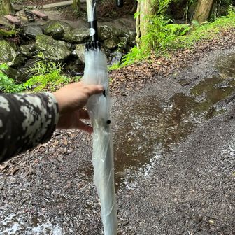 カッパ🥒は着たくないので秘密兵器㊙️
傘さして登るのは実は初めて。
くらがりは林道メインなので風が吹かなきゃ大丈夫かと…