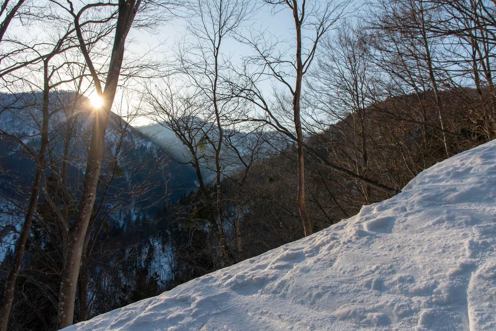 太陽の光に照らされて、雪がキラキラ。