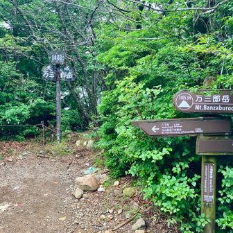 新旧の山頂標識
左側が旧標識