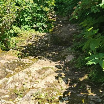こんな岩が頻出するしロープは無い