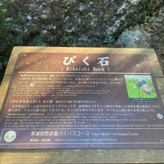 Big石→びく石　かと思ってた