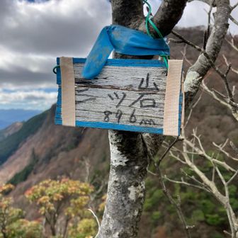 はい、寄り道！
寄り道する余裕があるのが嬉しい☺️