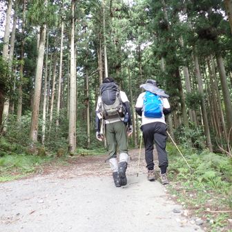 スタートの標高は431m。