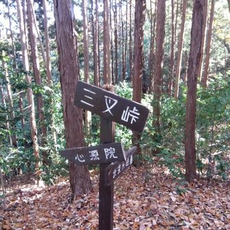 北条氏照墓の矢印、迷ったけどなかなか来れない所だし行ってみよう⋯すぐかと思ったのになかなかたどり着かず、時間が気になるしやーめた😅