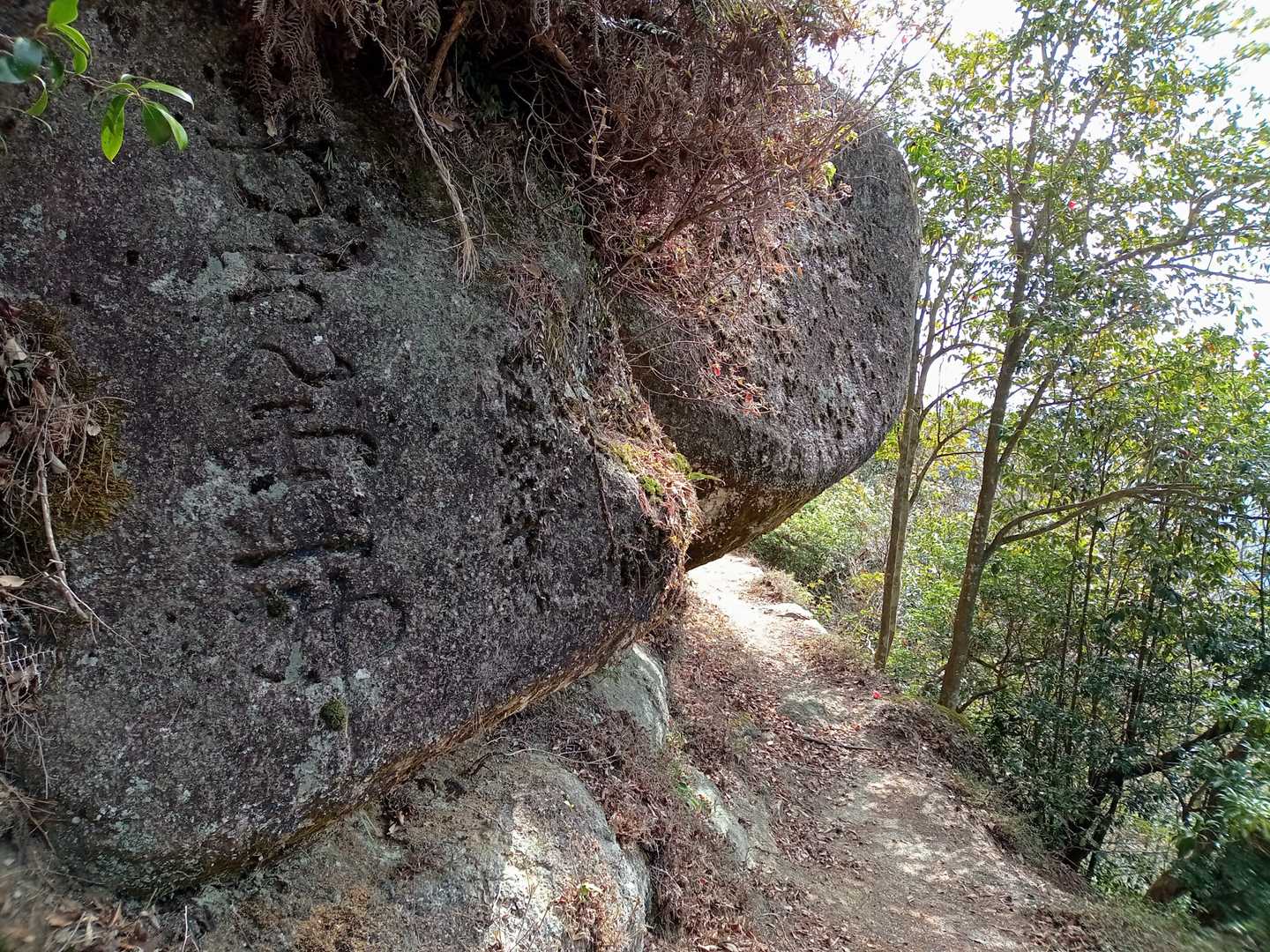 石畳ふれあい広場バス停-取付-高根山-折平山 周回コースの写真