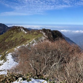 風もなく小春日和•••まったりとランチ🍙＆コーヒー☕︎を楽しむ幸せ😌