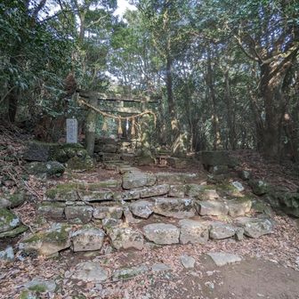 登山口からは3つ目の鳥居⛩️