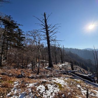 雪も少し残っています