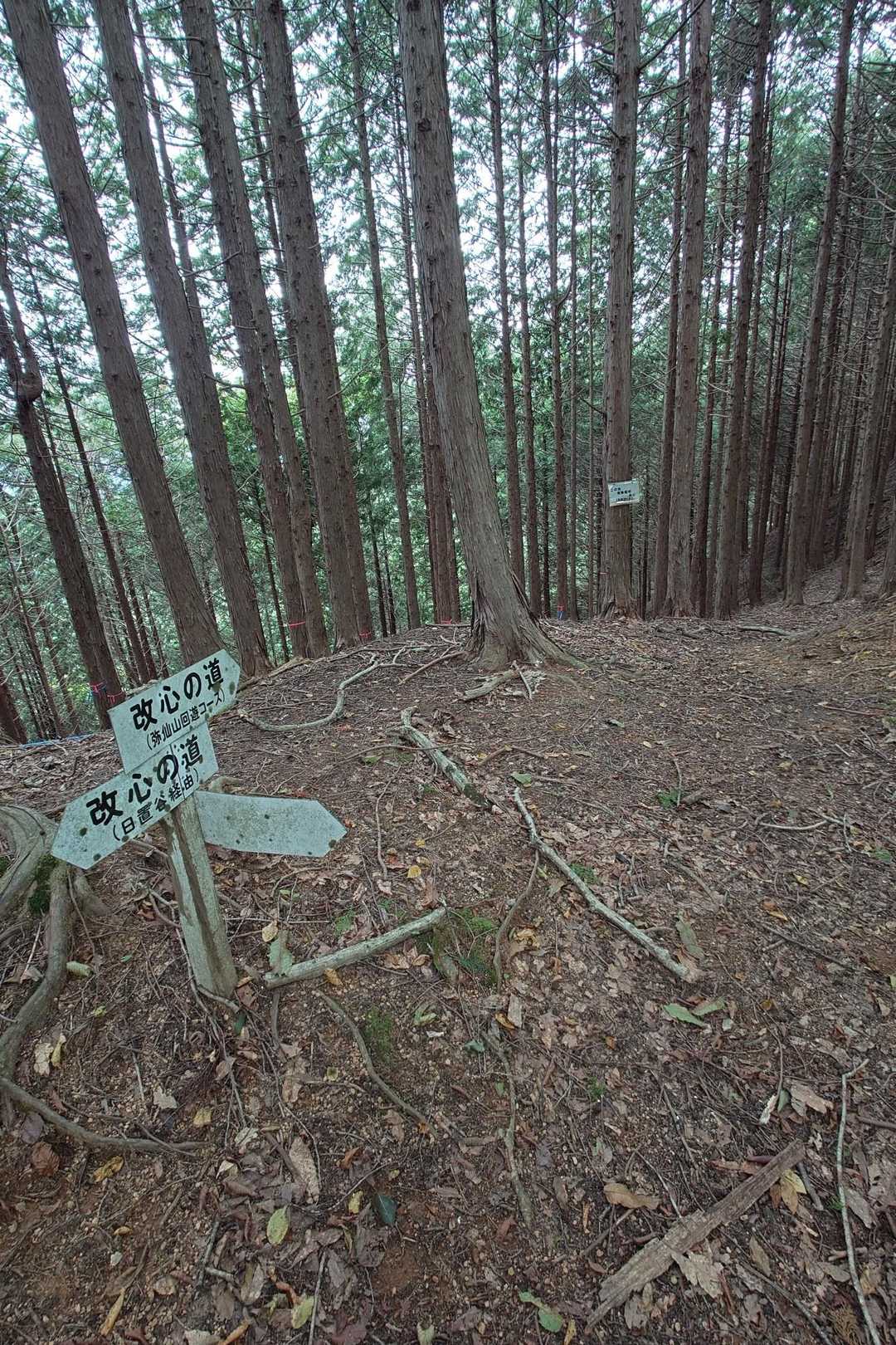 弥仙山登山口-弥仙山 周回コースの写真