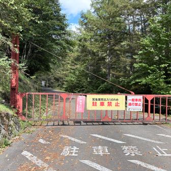 第一駐車場🅿️に到着
なんだかんだでハイ状態…
ジョギング🏃していた