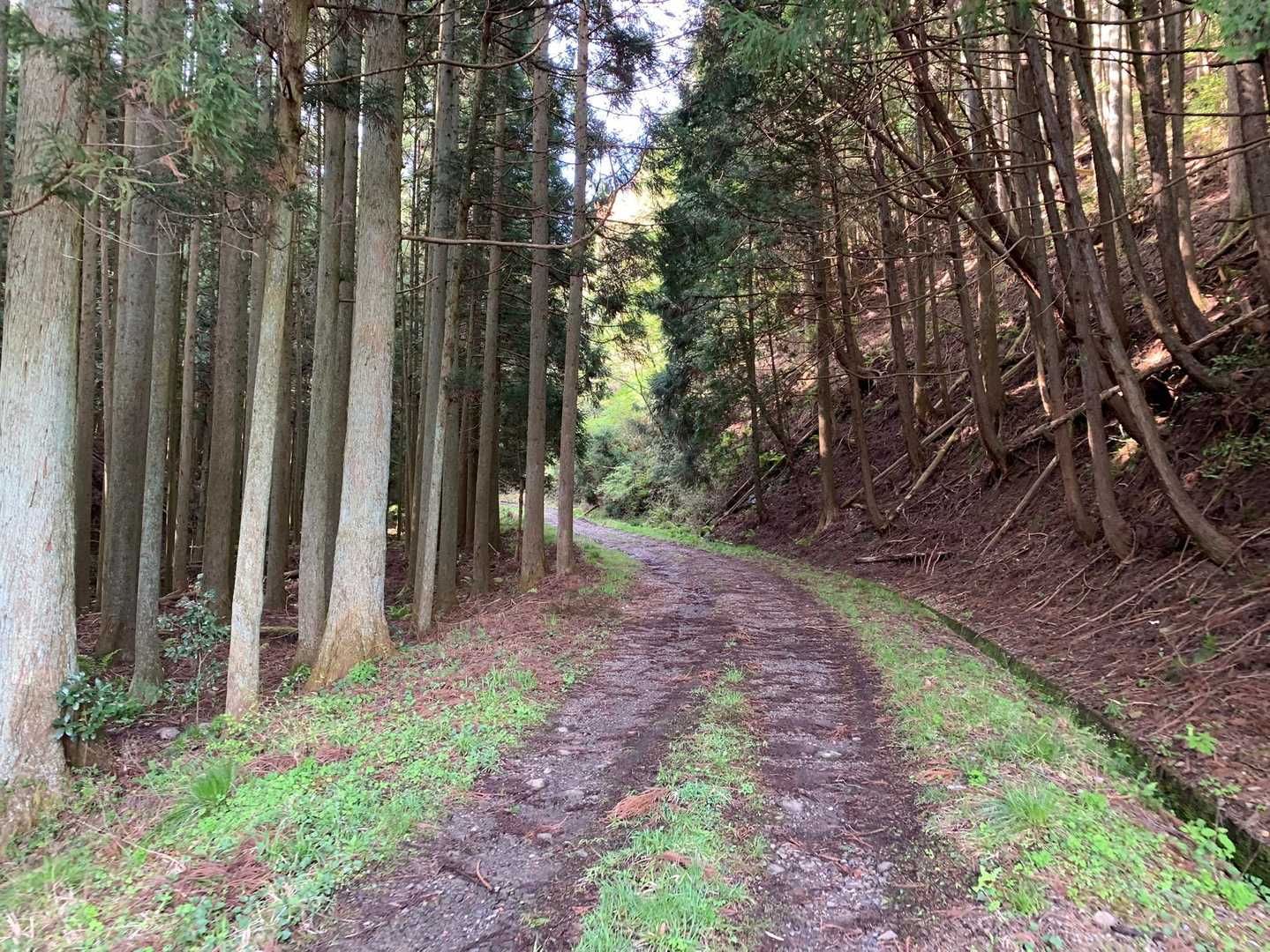 ここから林道
25分～30分くらいかな❓
ジムニー並の4駆なら入れるかも
迷岳バリのダート道