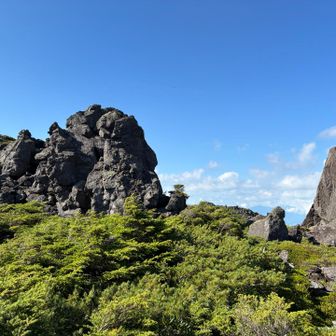 自然のオブジェ