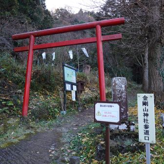 金剛山神社入口鳥居⛩️
ここから登山道です