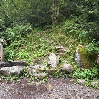笠新道　雨が落ちてきた