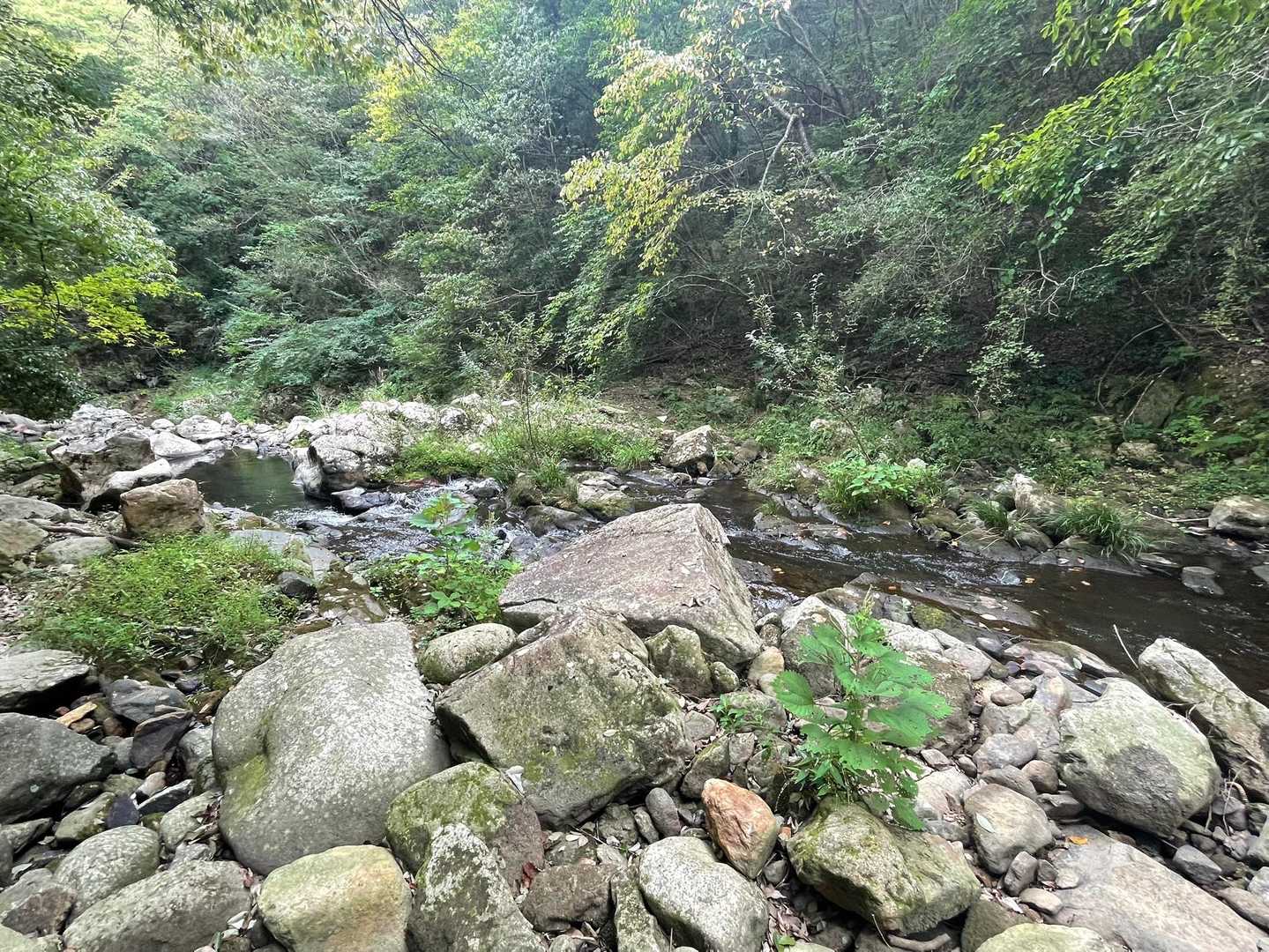 途中から川べりを歩く