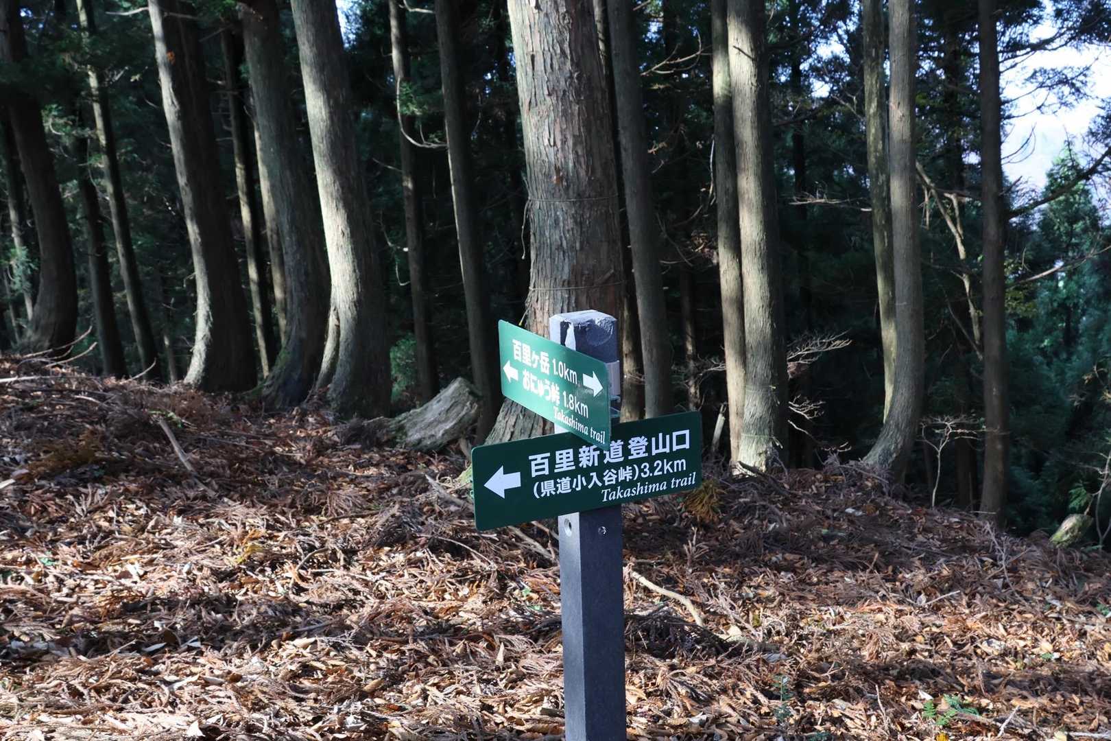シチグレ峠まで戻りました。白石山⛰️へ向かいます🚶