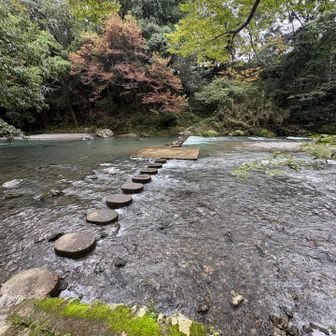 いつもより増水してるらしい