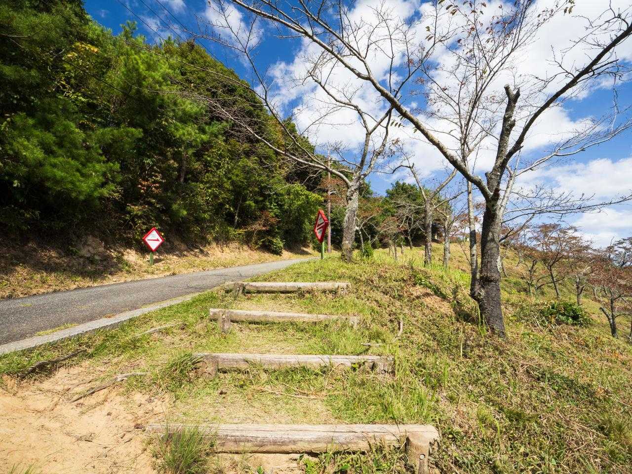 山頂手前の道路に出てきた。