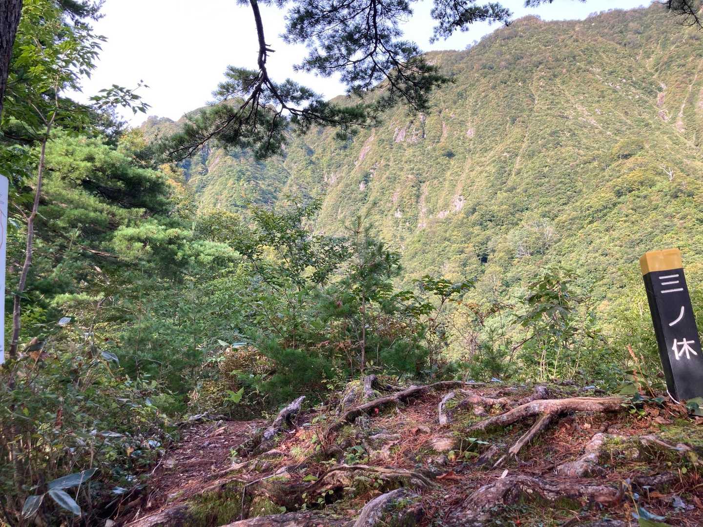 倉沢登山口-摩耶山 往復コースの写真