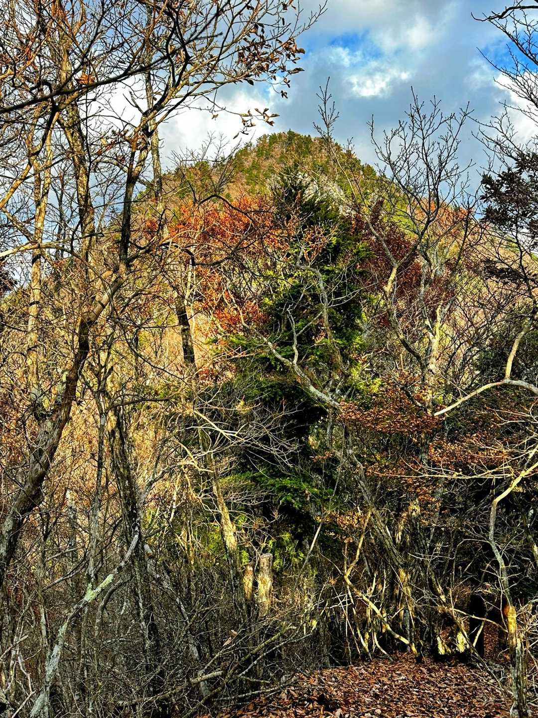 釈迦ヶ岳