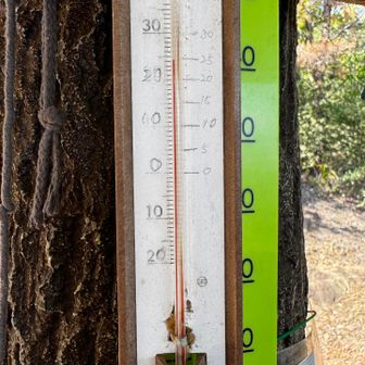 24度くらい
汗はかくけど、ちょうどいい感じの気温