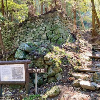 少しずつ近づいて来た。いい雰囲気。
