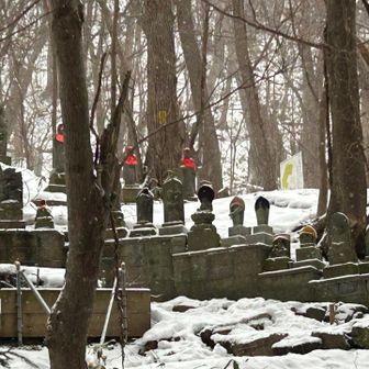 遊歩道から見る円山