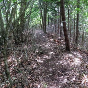 里山の道が続きます