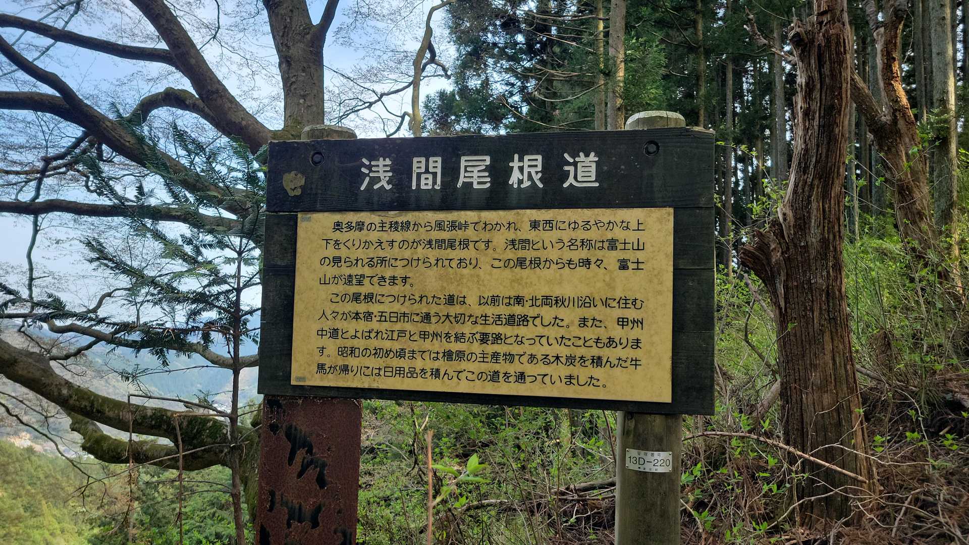 浅間尾根の歴史について書かれています。
ここはもともと生活道路だったのですよね。
だから比較的なだらかだし、基本巻道メインです。
